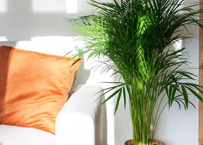 Apartamento Roomsy Broniewskiego