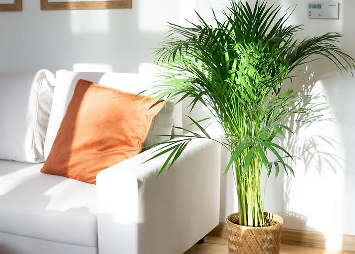 Roomsy Broniewskiego * Сопот